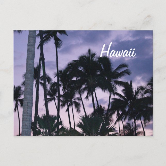 Hawaii handflatan träd vid solnedgång vykort (Framsida)