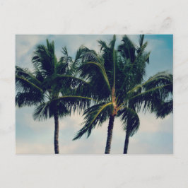 Hawaii Handflatan Träd Vykort