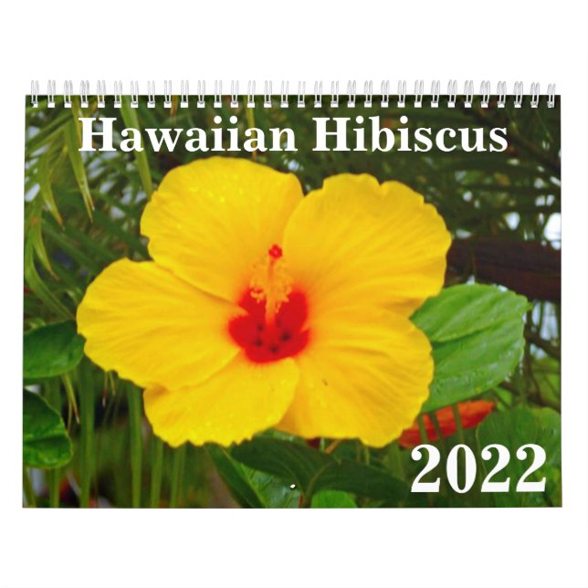 Hawaii Hibiscus 2022 Kalender (Omslag)