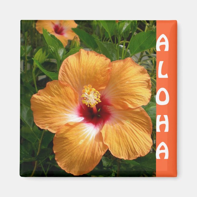 Hawaii Hibiscus Aloha Magnet (Framsidan)