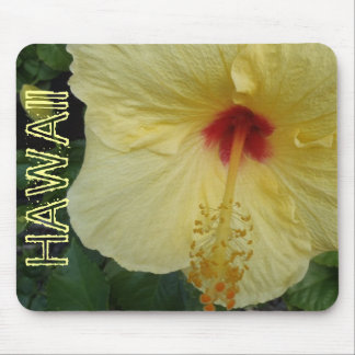 Hawaii hibiscus blommousepad musmatta