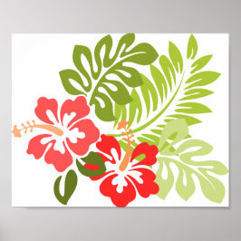 Hawaii Hibiscus Flora Blommigt Flowers Blommar Poster