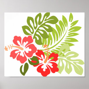 Hawaii Hibiscus Flora Blommigt Flowers Blommar Poster
