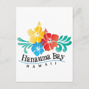 Hawaii Hibiscus Flowers Vykort
