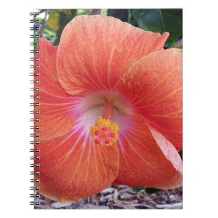 Hawaii hibiskusblommor anteckningsbok med spiral