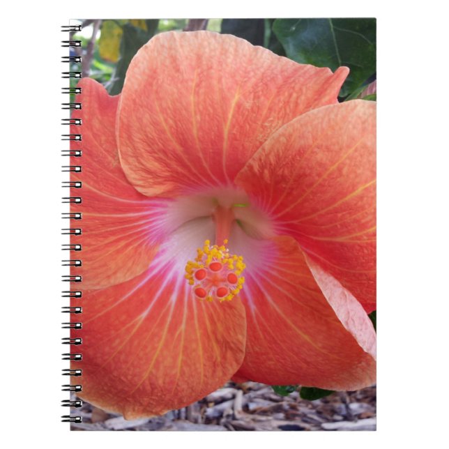 Hawaii hibiskusblommor anteckningsbok med spiral (Framsidan)
