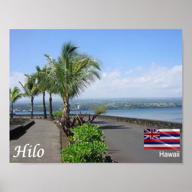 Hawaii - Hilo - Poster (Framsidan)