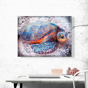 Hawaii Honi Sea Turtle Close-up Photo Luc Script Canvastryck