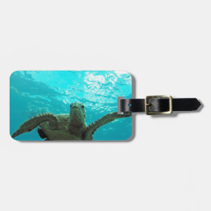 Hawaii Honu sköldpadda Bagagebricka