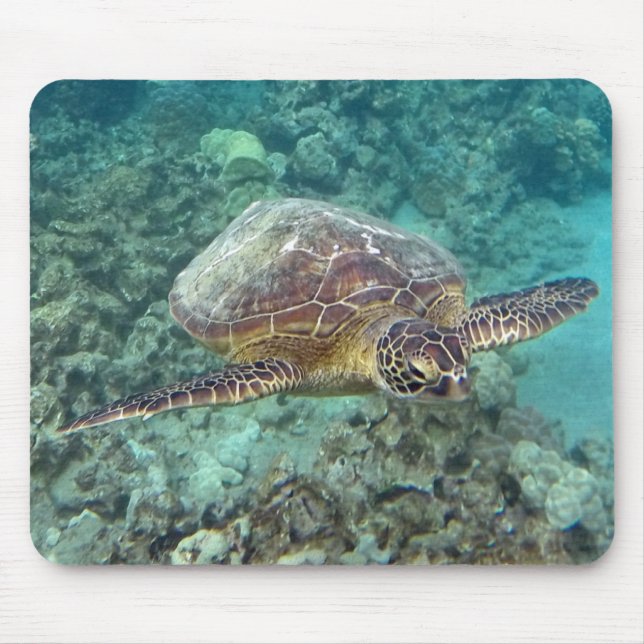 Hawaii Honu sköldpadda Musmatta (Framsidan)