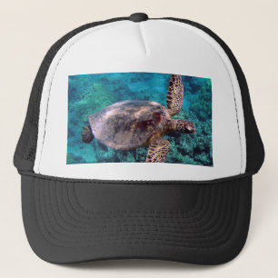 Hawaii Honu Turtle Cap Keps