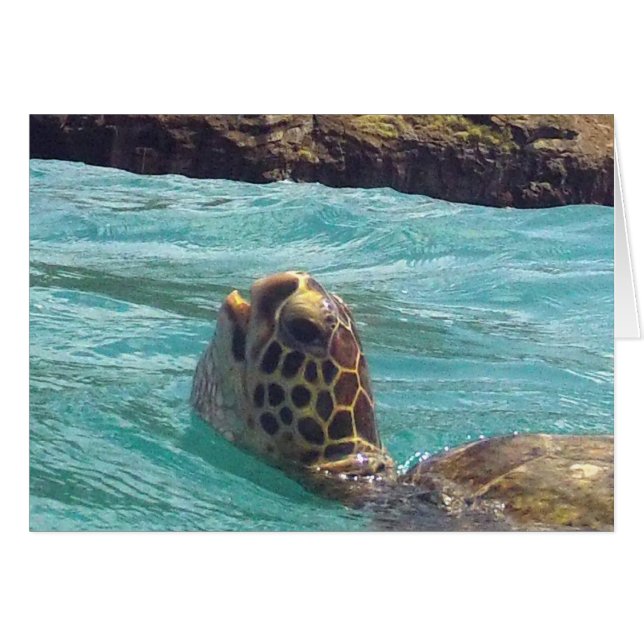 Hawaii Honu Turtle Hälsningskort (Framsidan Horizontal)