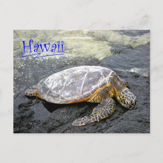 Hawaii - Honu Vykort (Framsida)