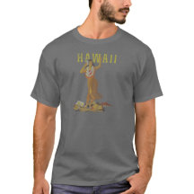 Hawaii Hula dansare