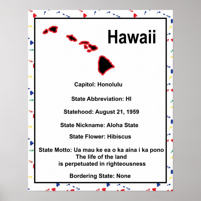 Hawaii Information Educational US State Poster (Framsidan)