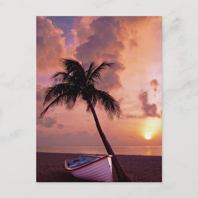 Hawaii Island Travel Beach Sunset Handflatan Träd  Vykort (Framsida)