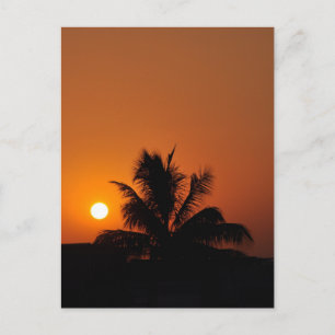 Hawaii Island Travel Tour Beach Sunset Handflatan Vykort