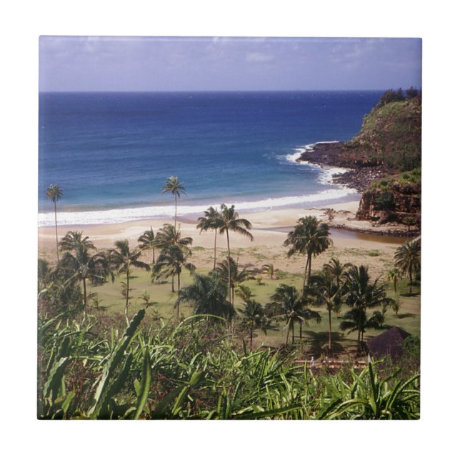 Hawaii Kakelplatta (Framsidan)