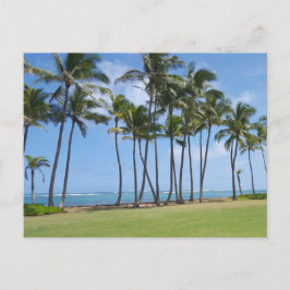 Hawaii Kusten vykort