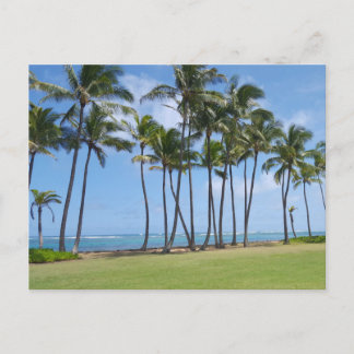 Hawaii Kusten vykort