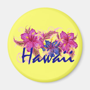 Hawaii kylmagnet magnet