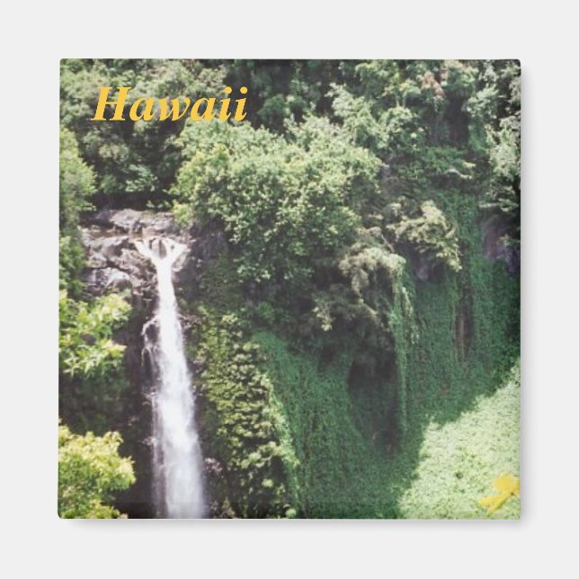 Hawaii-kylmagnet Magnet (Framsidan)
