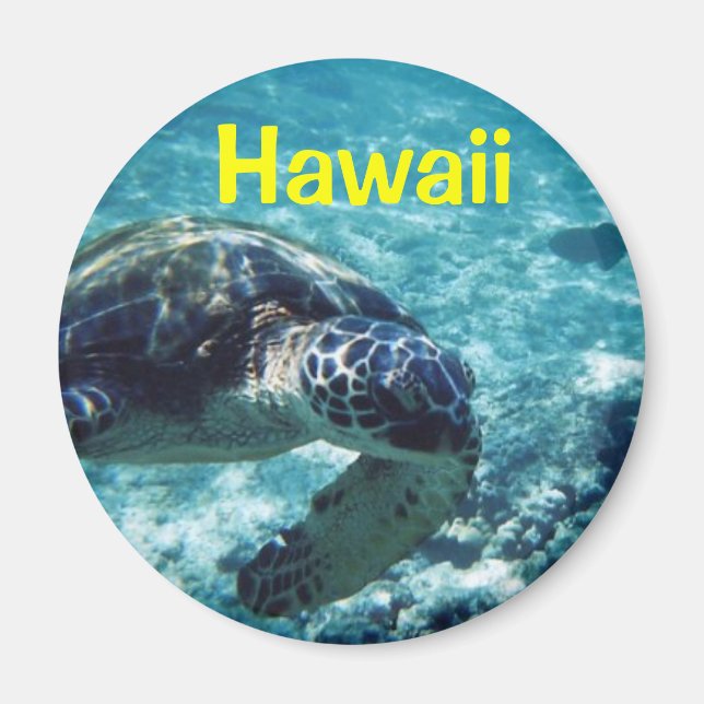 Hawaii magnet (Framsidan)