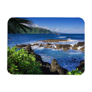 Hawaii magnet