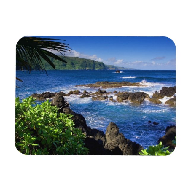 Hawaii Magnet (Horisontell)