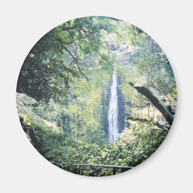 hawaii magnet (Framsidan)