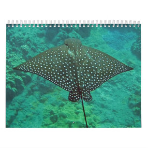 Hawaii Mantastrålar, ålar och bläckfisk Kalender