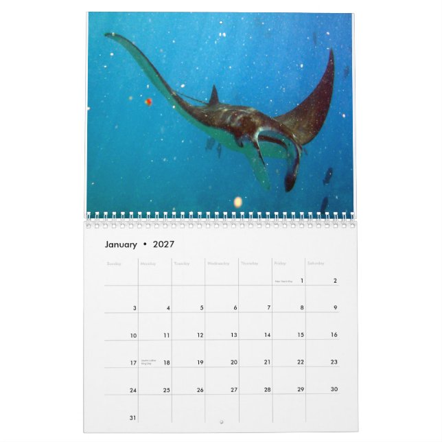 Hawaii Mantastrålar, ålar och bläckfisk Kalender (Jan 2027)