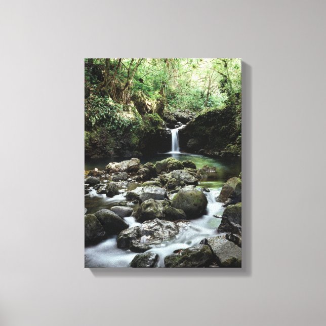 Hawaii, Maui, En vattenfall rinner ut i Blue Pool Canvastryck (Framsida)