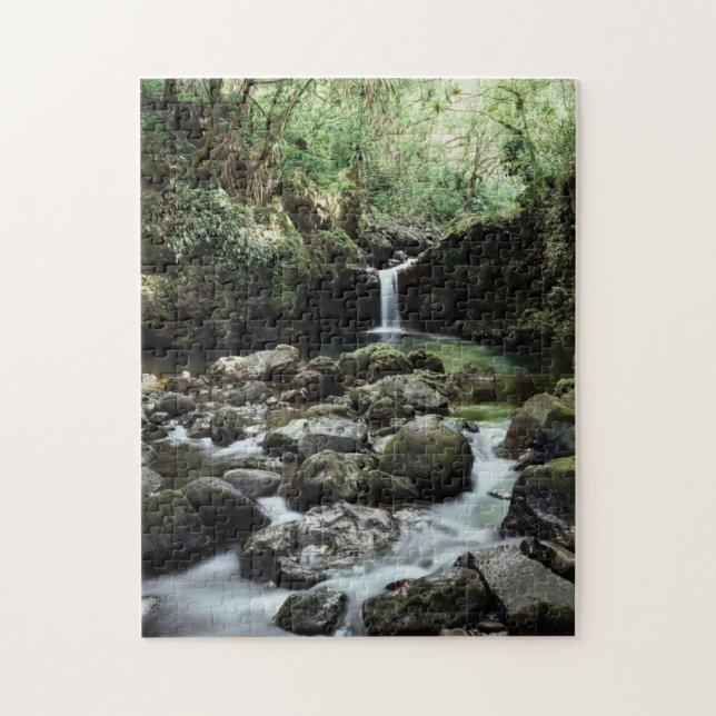 Hawaii, Maui, En vattenfall rinner ut i Blue Pool Pussel (Vertikal)