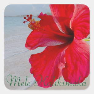 Hawaii Mele Kalikimaka God jul Fyrkantigt Klistermärke