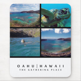 Hawaii mus mattor musmatta