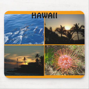 HAWAII MUSMATTA