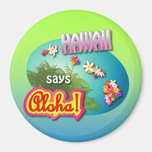 Hawaii något att säga Aloha! Magnet