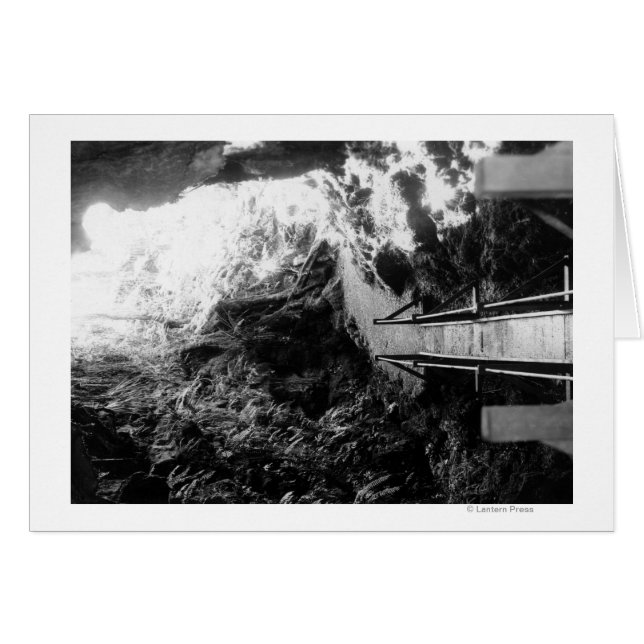 Hawaii nationalpark, visning av en Lava Tube Hälsningskort (Framsidan Horizontal)