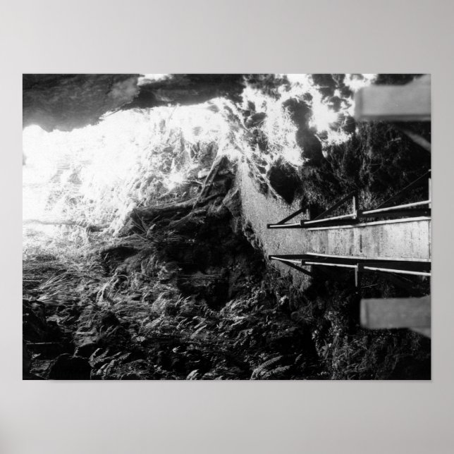 Hawaii nationalpark, visning av en Lava Tube Poster (Framsidan)