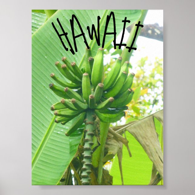 HAWAII NATURE POSTER (Framsidan)