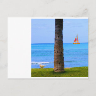 Hawaii Nature Vykort