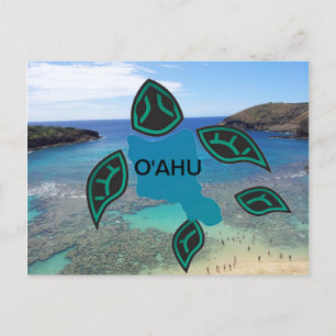 Hawaii Oahu Island Turtle Vykort