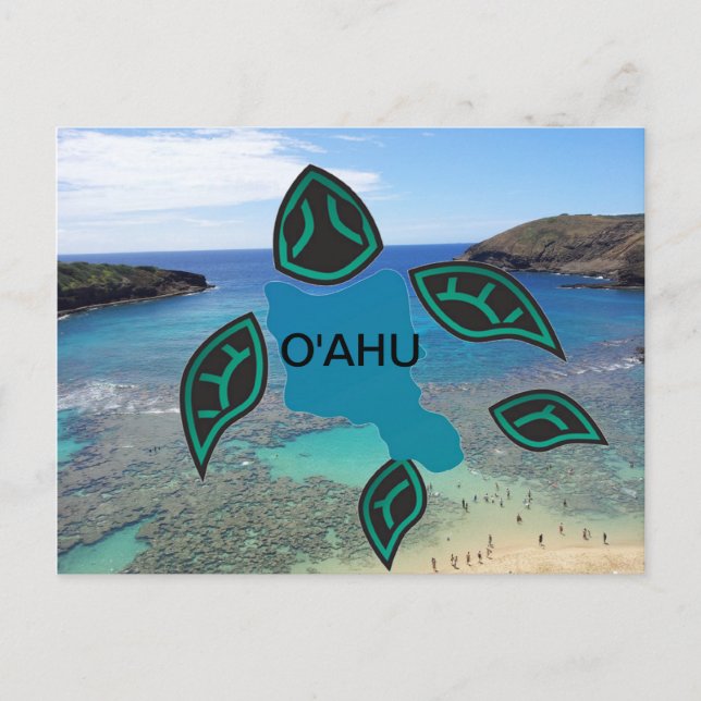 Hawaii Oahu Island Turtle Vykort (Framsida)