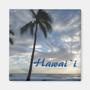 Hawaii palmträd vid hav magnet