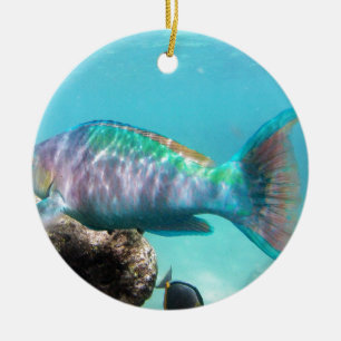 Hawaii papegojafisk julgransprydnad keramik