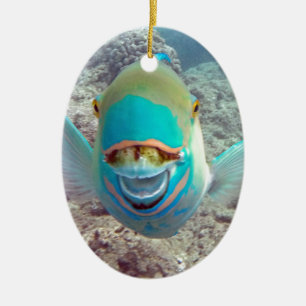 Hawaii Parrot Fish Julgransprydnad Keramik
