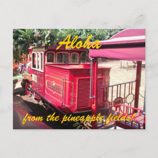 Hawaii Pineapple Tåg vykort