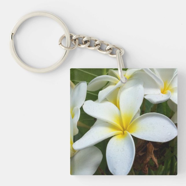 Hawaii Plumeria Flowers (Framsidan)