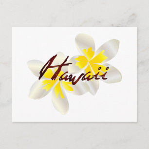 Hawaii Plumeria Flowers Vykort